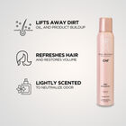 Royal Treatment Dry Shampoo, , large image number null